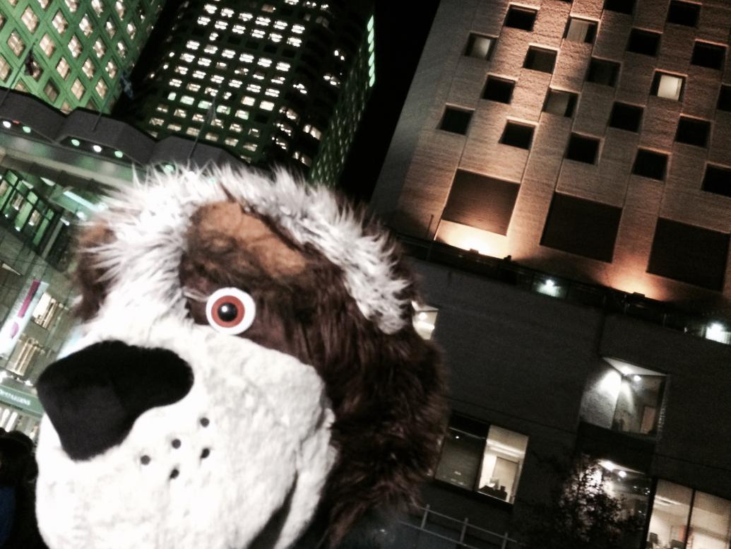 Des tuques sur un tapis rouge!_2